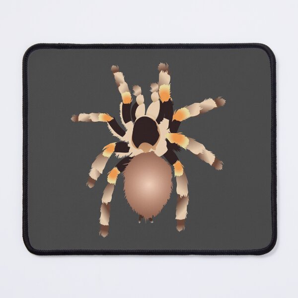 Item preview, Tarantula designed and sold by KCPetPortraits.