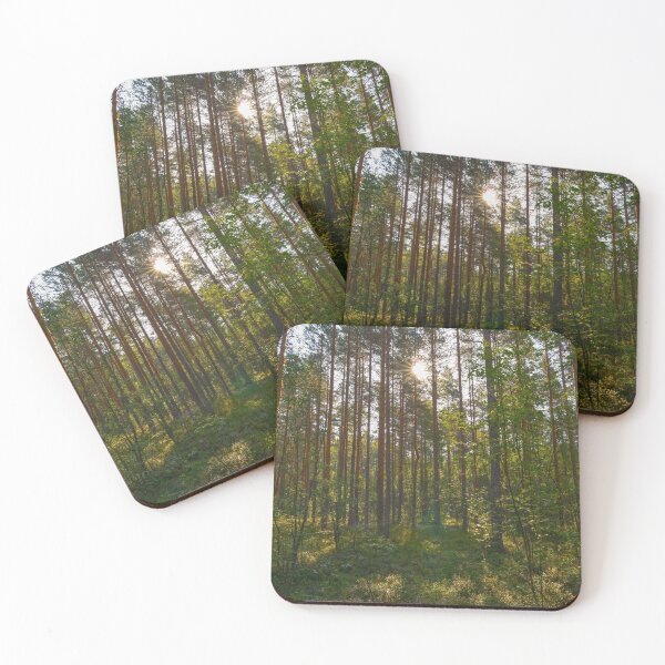 Item preview, Pine forest in the summer morning sun designed and sold by yarvin13.