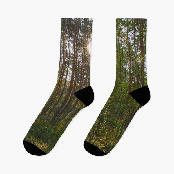 Item preview, Pine forest in the summer morning sun designed and sold by yarvin13.