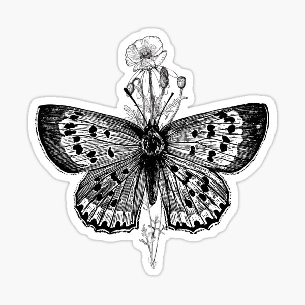 Butterfly in Linen Sticker