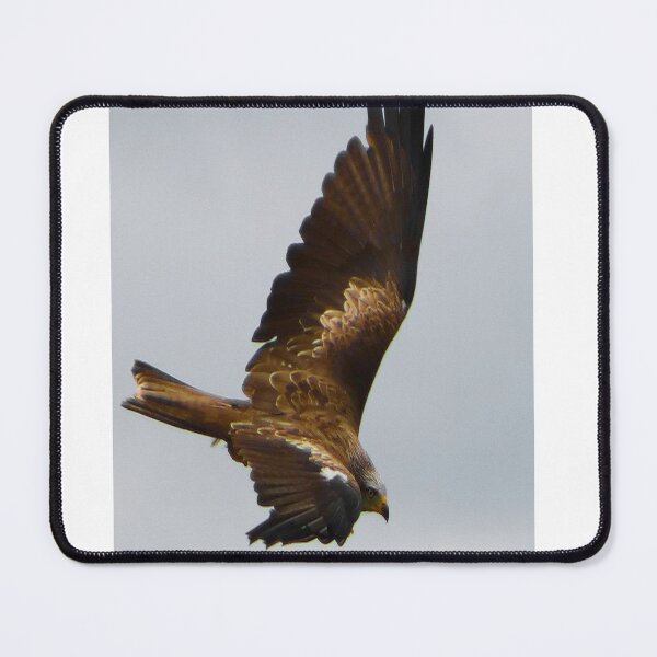 Item preview, Red Kite in Flight  designed and sold by SJHorsfall.