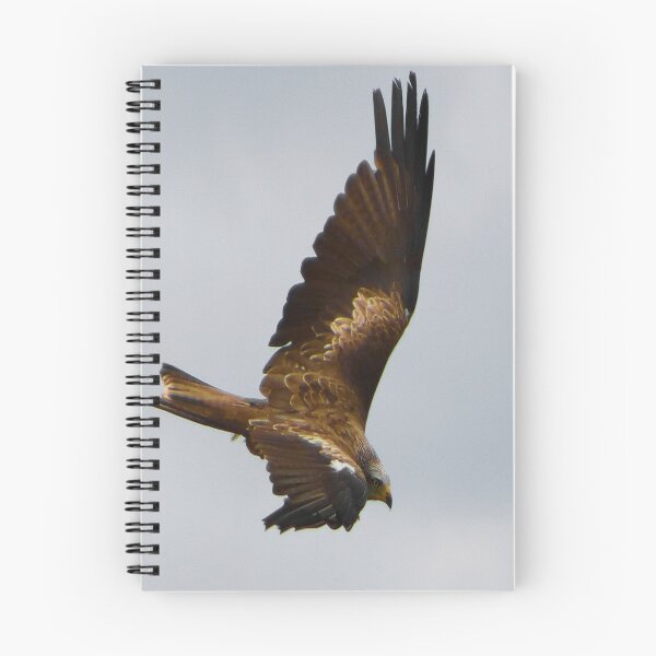 Item preview, Red Kite in Flight  designed and sold by SJHorsfall.