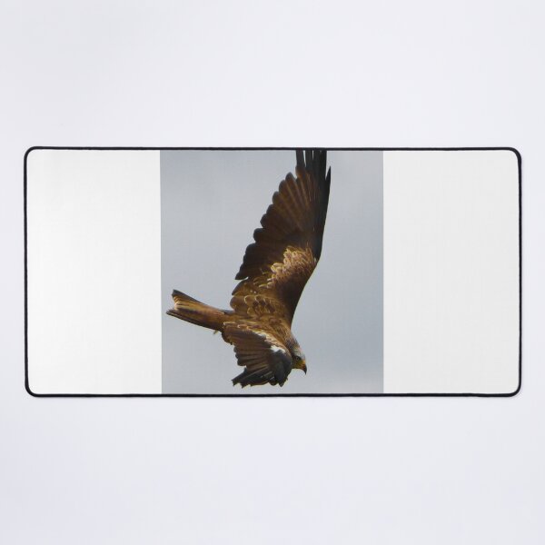 Item preview, Red Kite in Flight  designed and sold by SJHorsfall.