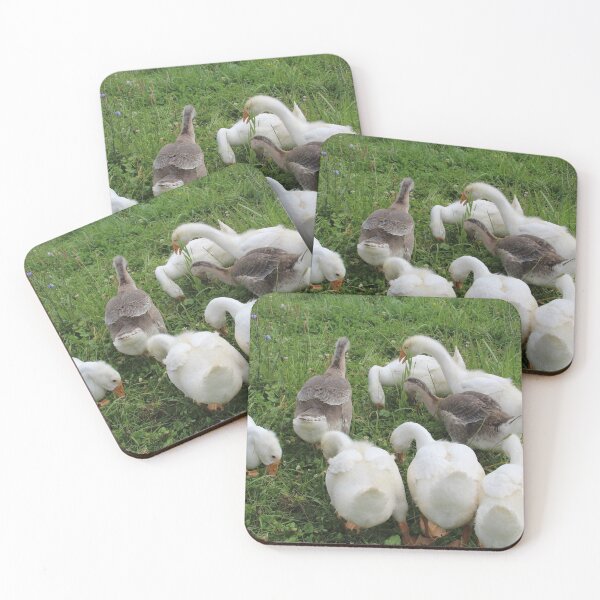 Item preview, Gaggle of young geese designed and sold by suzyrissew.