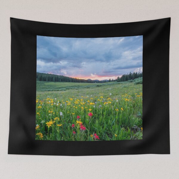 Item preview, Shrine Pass Road Red Cliff designed and sold by Future Proofing.