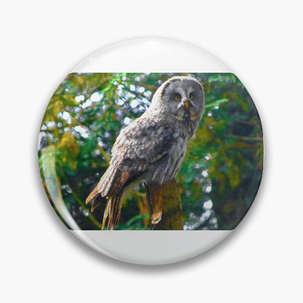 Item preview, Staring Owl designed and sold by SJHorsfall.
