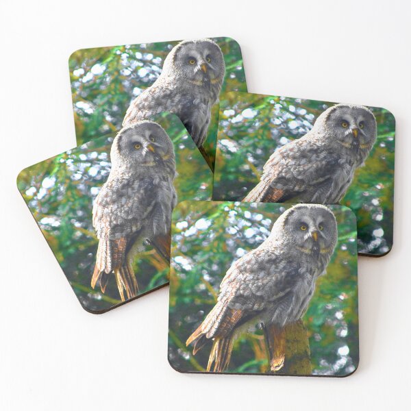 Item preview, Staring Owl designed and sold by SJHorsfall.