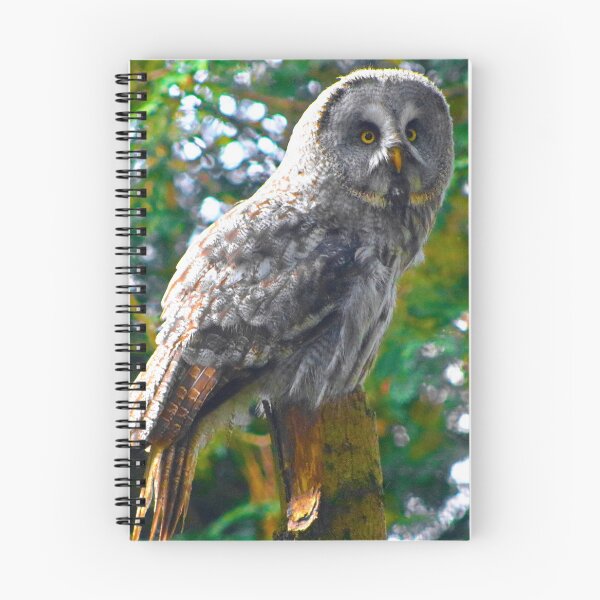 Item preview, Staring Owl designed and sold by SJHorsfall.