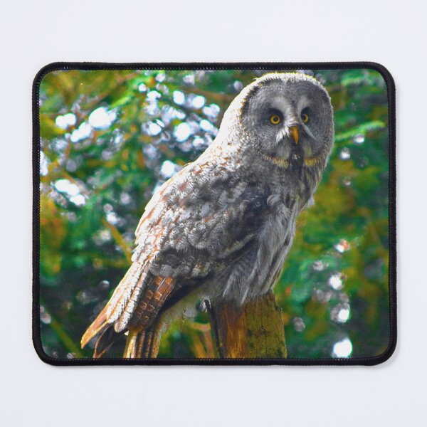 Item preview, Staring Owl designed and sold by SJHorsfall.