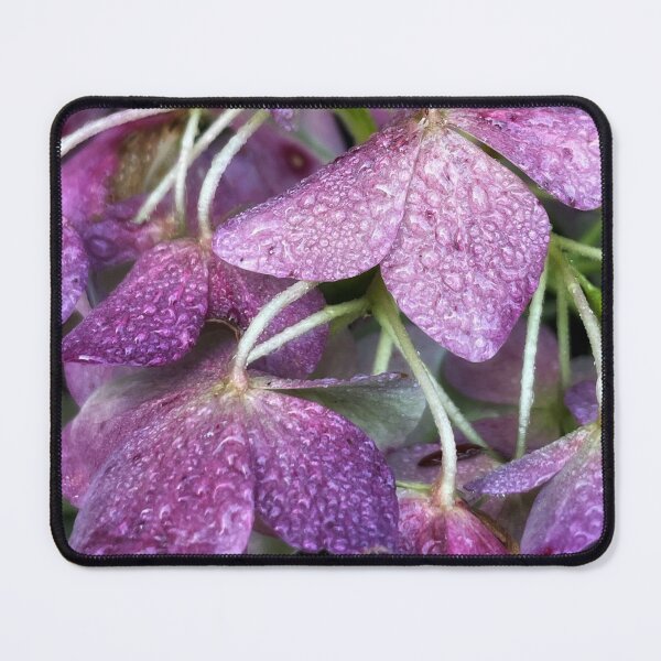 Item preview, Late summer hydrangea designed and sold by Dusty-Penny.