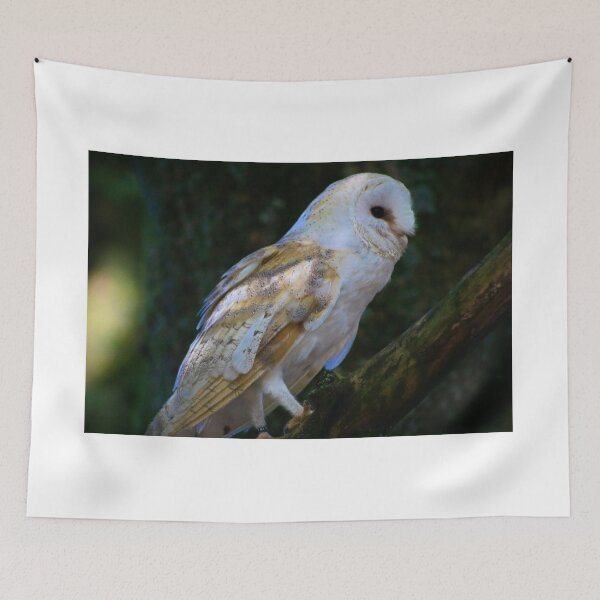 Item preview, Profile Owl designed and sold by SJHorsfall.