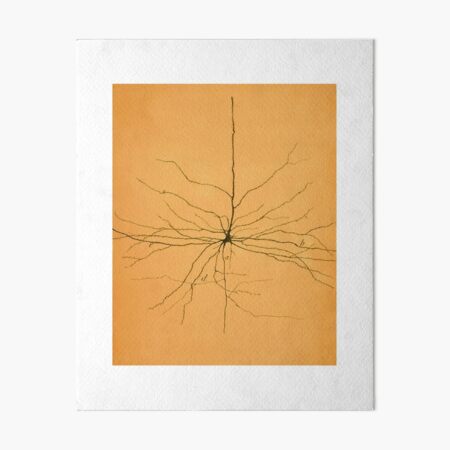 Item preview, Pyramidal Cell in Cerebral Cortex, Cajal designed and sold by ScienceSource.