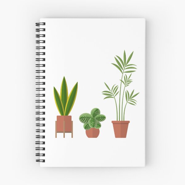 Item preview, 3 illustrated house plants designed and sold by WietskeWelten.