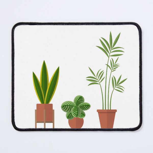 Item preview, 3 illustrated house plants designed and sold by WietskeWelten.
