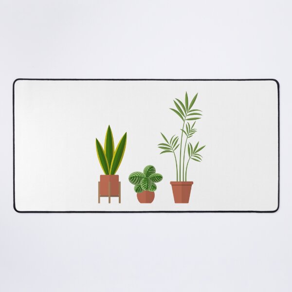 Item preview, 3 illustrated house plants designed and sold by WietskeWelten.