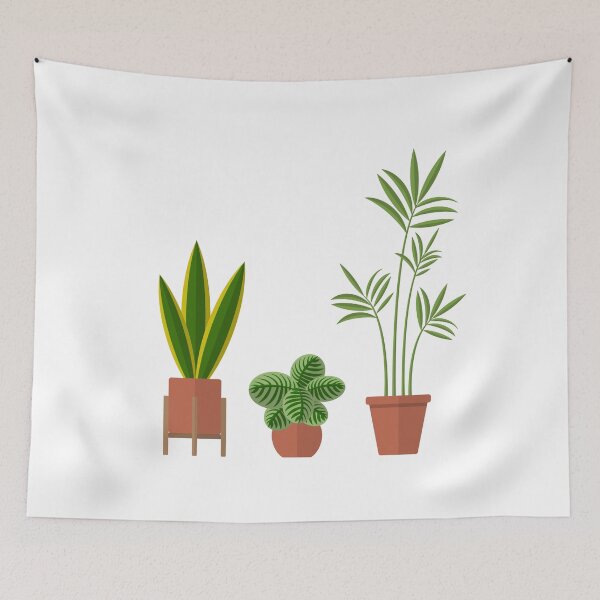 Item preview, 3 illustrated house plants designed and sold by WietskeWelten.