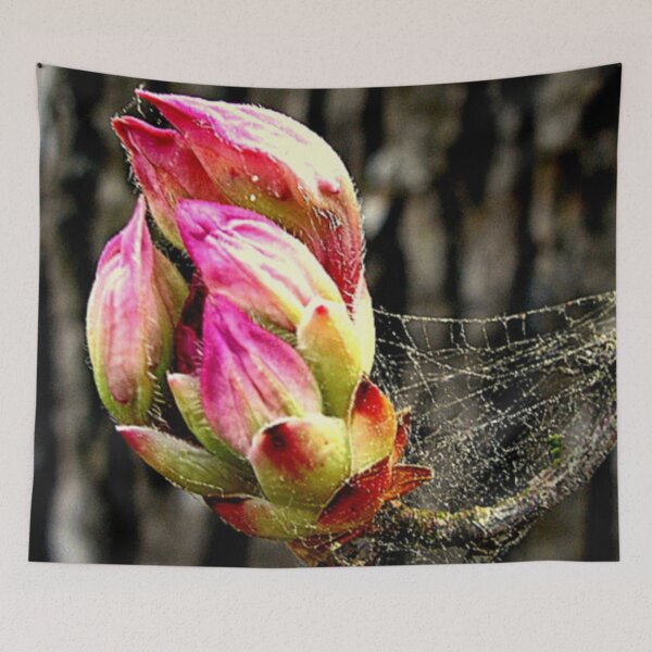 Item preview, Through The Mists- Brett Noel designed and sold by donnastares.