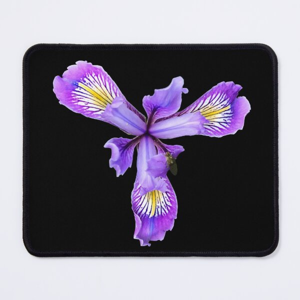 Item preview, Wild Purple Iris Flower designed and sold by KsbAesthetics.