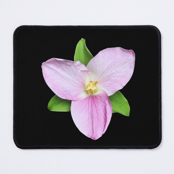 Item preview, Wild Pink Trillium Flower designed and sold by KsbAesthetics.