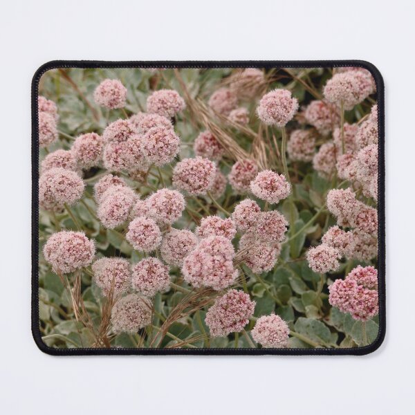 Item preview, Pretty Pink Summertime Buckwheat Flowers designed and sold by KsbAesthetics.
