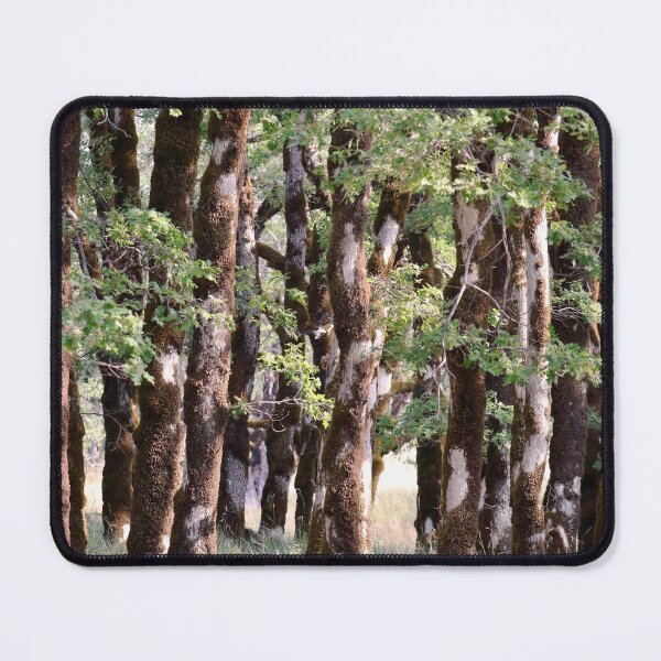 Item preview, Beautiful Mossy Green Forest Trees designed and sold by KsbAesthetics.