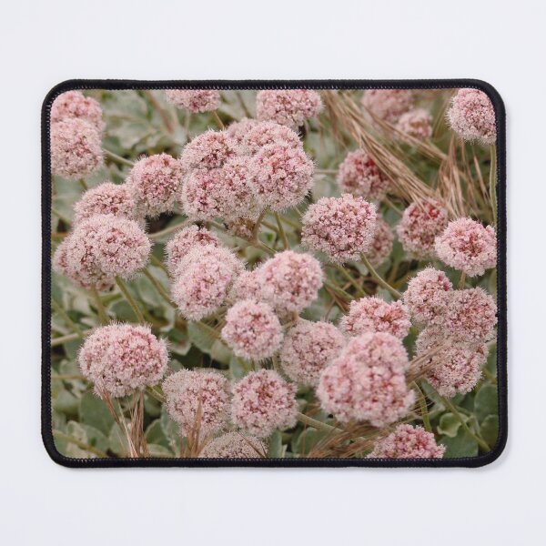 Item preview, Pretty Little Pink Summertime Buckwheat Flowers designed and sold by KsbAesthetics.
