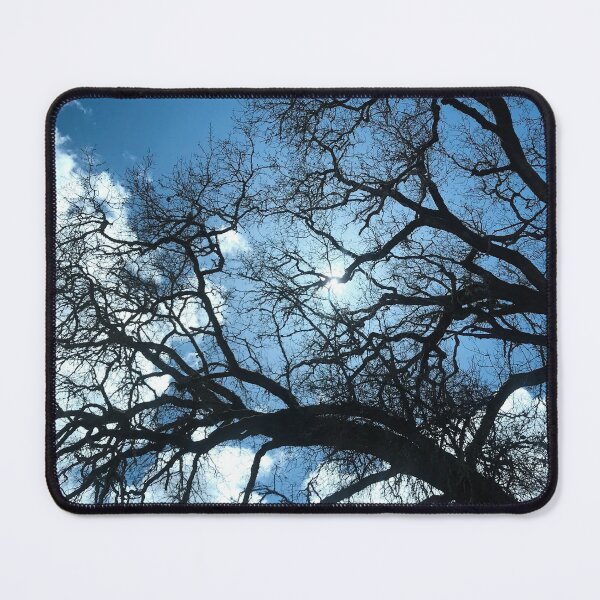 Item preview, Leafless Trees and Blue Winter Sky designed and sold by KsbAesthetics.