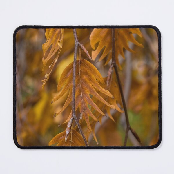 Item preview, Flextension - Ragged, Jagged Fall Leafs Flexing in the Wind designed and sold by Georgia Mizuleva.