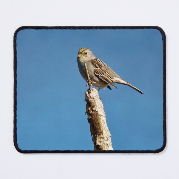 Item preview, Small Bird on a Cattail designed and sold by KsbAesthetics.