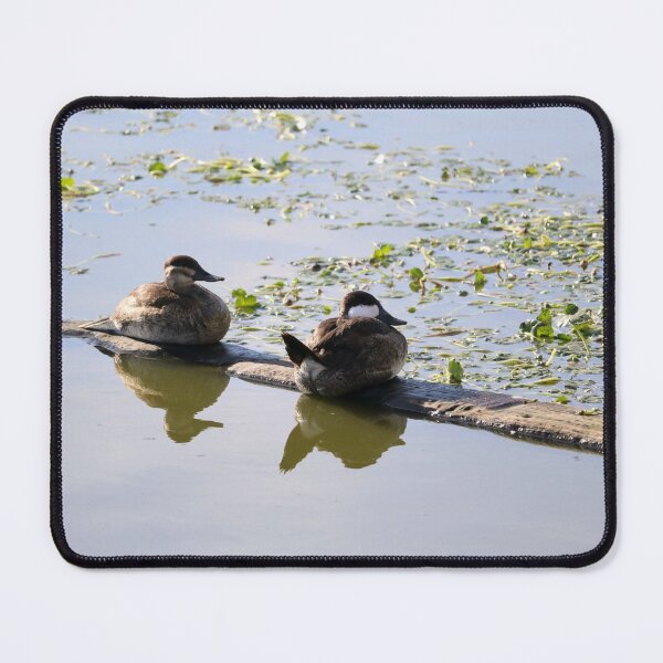 Item preview, Two Ducks on a Log designed and sold by KsbAesthetics.