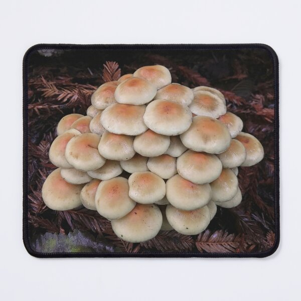 Item preview, Mushroom Cluster designed and sold by KsbAesthetics.