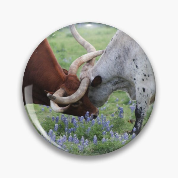 Item preview, Texas Longhorns Locked designed and sold by suzyrissew.