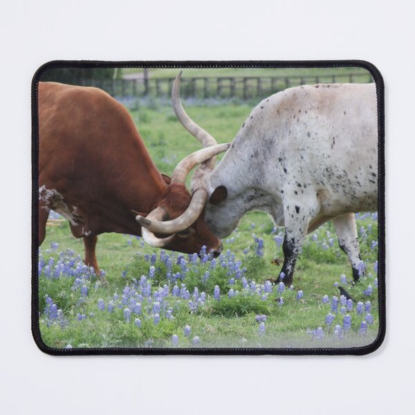 Item preview, Texas Longhorns Locked designed and sold by suzyrissew.