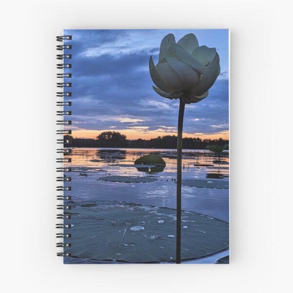 Item preview, Lotus at Sunset designed and sold by Ryan Stephens.