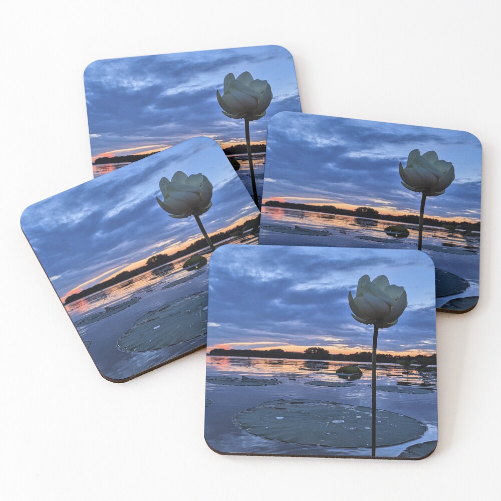 Item preview, Coasters (Set of 4) designed and sold by RScaptor.