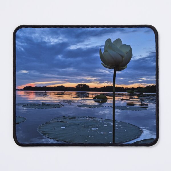 Item preview, Lotus at Sunset designed and sold by Ryan Stephens.