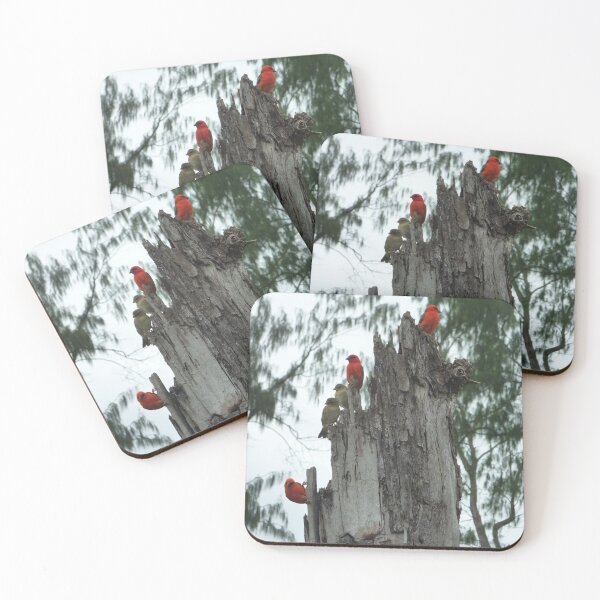 Item preview, Paradise Birds designed and sold by ygostyles.