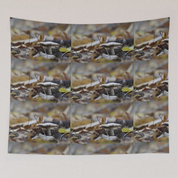 Item preview, Toad Stool designed and sold by suzyrissew.