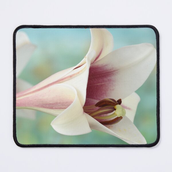 Item preview, Lilium  Triumphator = 'Zanlophator' designed and sold by Chris Burrows.