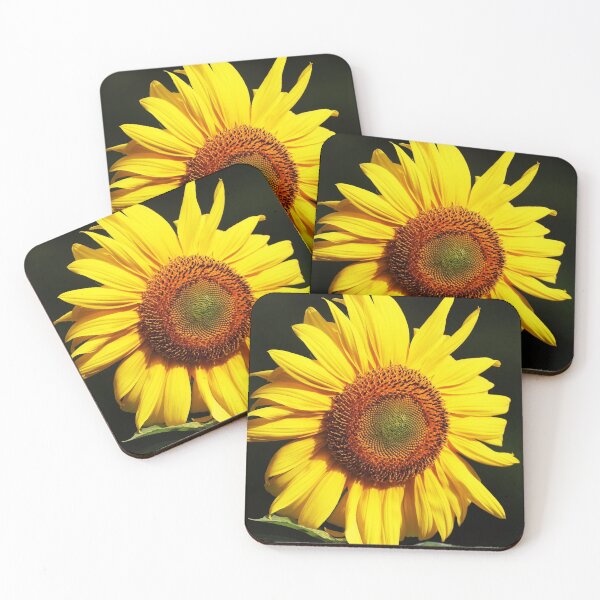 Item preview, Sunflower designed and sold by Deb Oppermann.