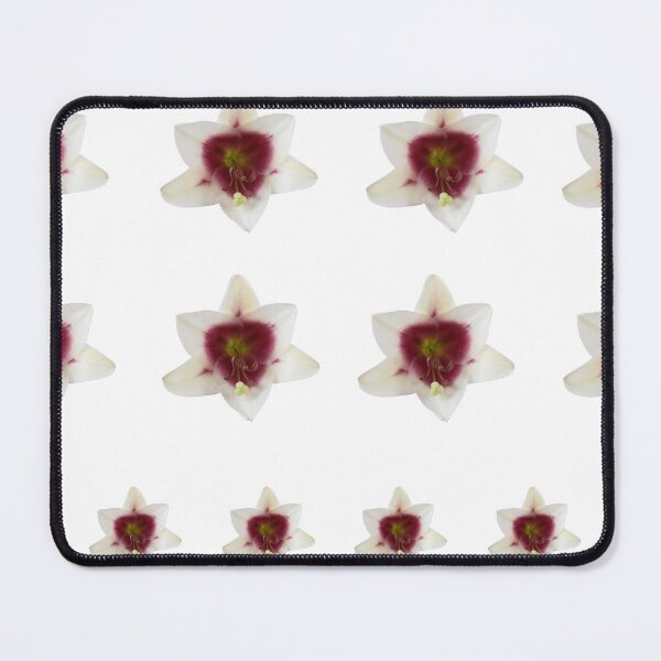 Item preview, Lilium Triumphator = 'Zanlophator' designed and sold by Chris Burrows.