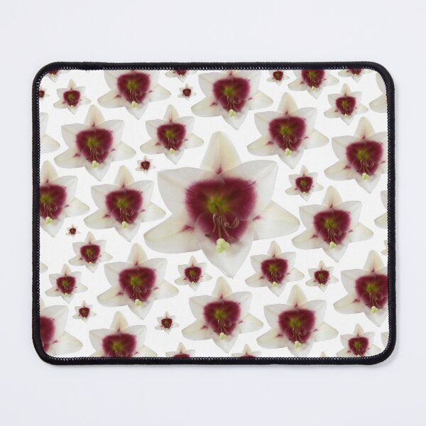 Item preview, Lilium Triumphator = 'Zanlophator'  designed and sold by Chris Burrows.