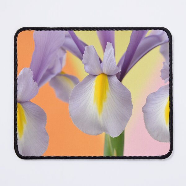 Item preview, Iris 'King Mauve' Dutch iris Edit designed and sold by Chris Burrows.