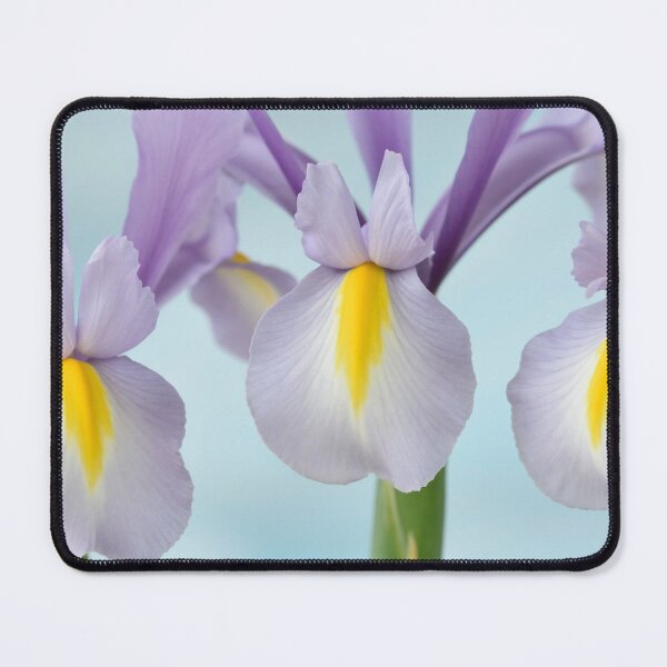 Item preview, Iris 'King Mauve' Dutch iris designed and sold by Chris Burrows.