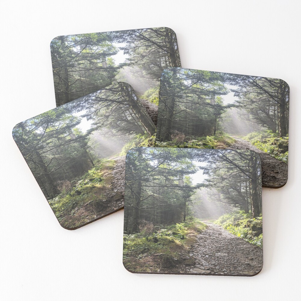 Item preview, Coasters (Set of 4) designed and sold by RScaptor.