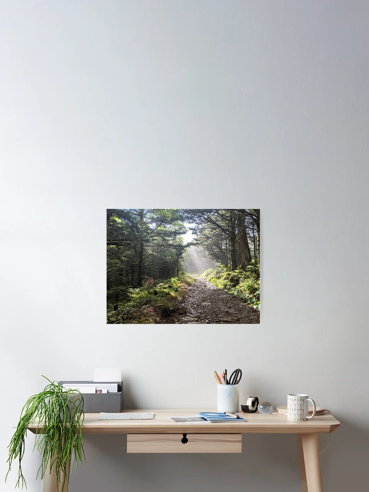 Thumbnail 2 of 3, Poster, Radiant Hike designed and sold by Ryan Stephens.