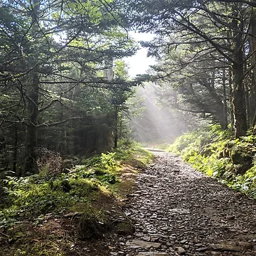 Artwork thumbnail, Radiant Hike by Ryan Stephens