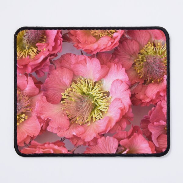 Item preview, Geum 'Bell Bank' Avens designed and sold by Chris Burrows.