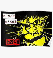 Pussy Grabs Back! Poster