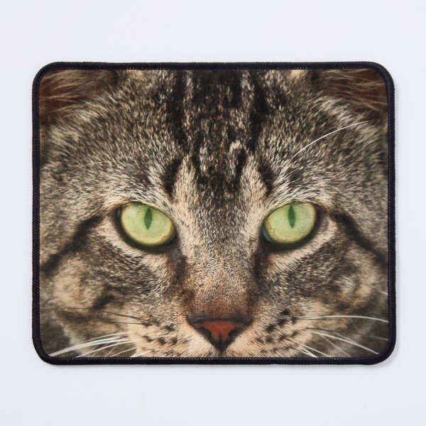 Item preview, Barn Cat designed and sold by Johnny Furlotte.